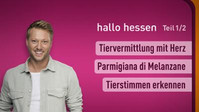 hallo hessen
