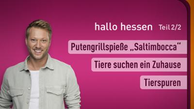 hallo hessen