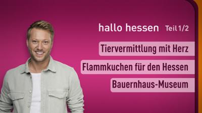 hallo hessen