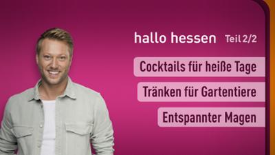 hallo hessen