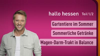 hallo hessen