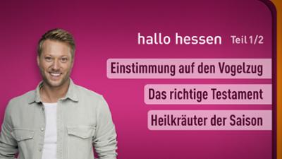hallo hessen
