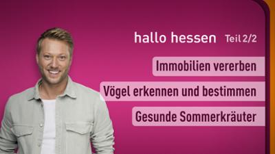 hallo hessen