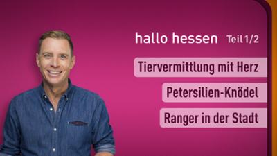 hallo hessen