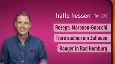 hallo hessen
