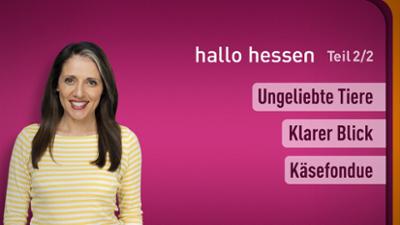 hallo hessen