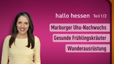 hallo hessen