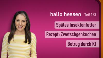 hallo hessen