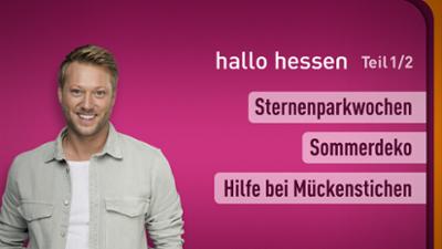 hallo hessen