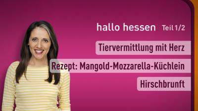 hallo hessen