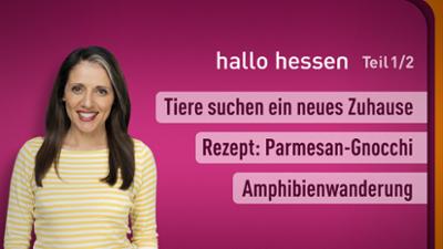 hallo hessen hallo hessen