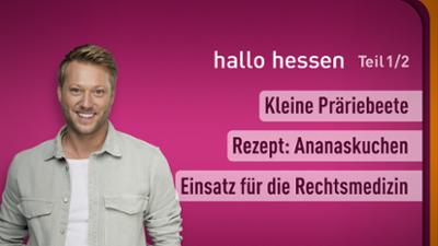 hallo hessen