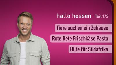 hallo hessen