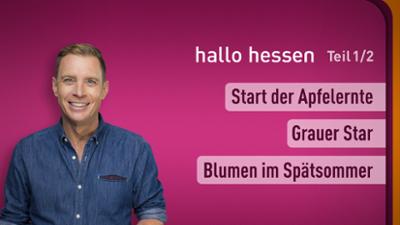 hallo hessen