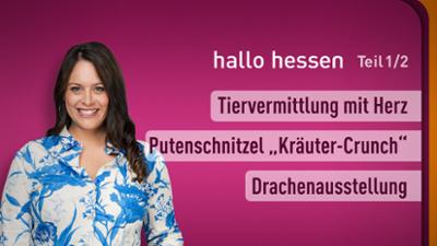 hallo hessen