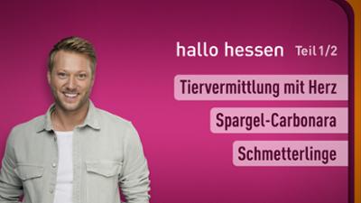 hallo hessen
