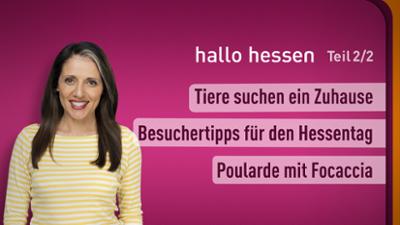 hallo hessen