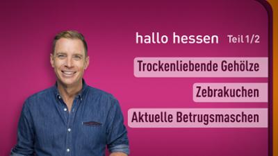 hallo hessen