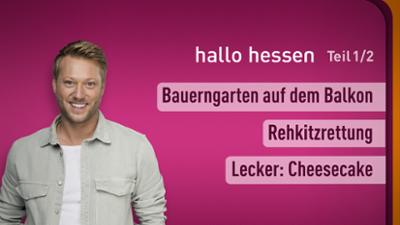 hallo hessen