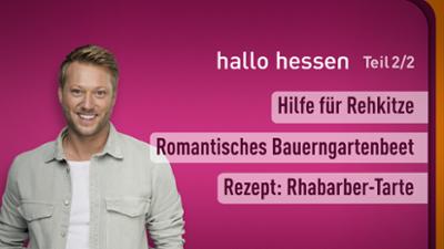 hallo hessen