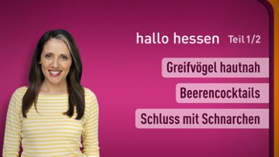hallo hessen