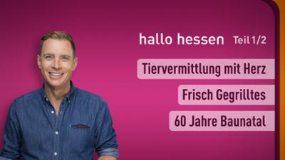 hallo hessen
