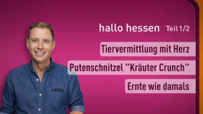 hallo hessen
