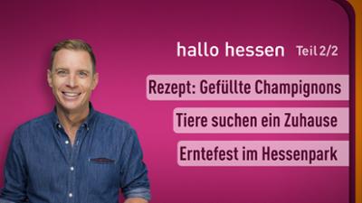 hallo hessen