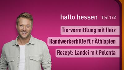 hallo hessen