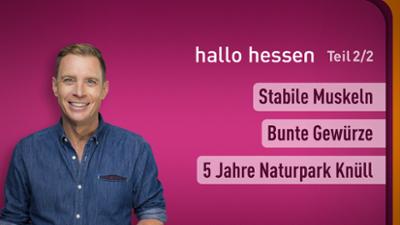 hallo hessen