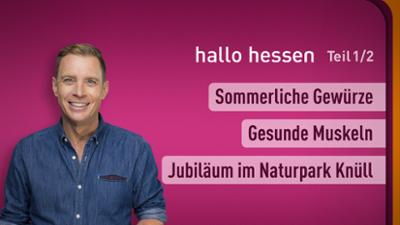 hallo hessen