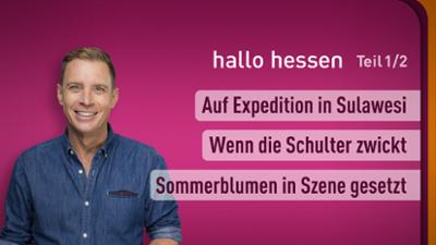 hallo hessen