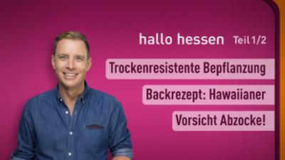 hallo hessen