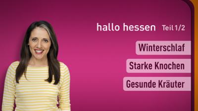 hallo hessen