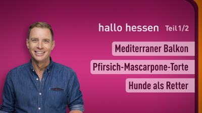 hallo hessen hallo hessen