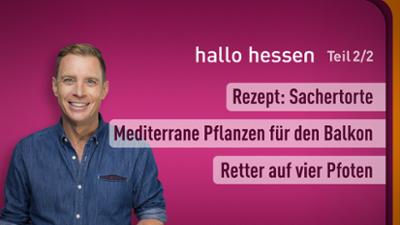 hallo hessen