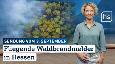hessenschau: Fliegende Waldbrandmelder in Hessen hessenschau vom 03.09.2026