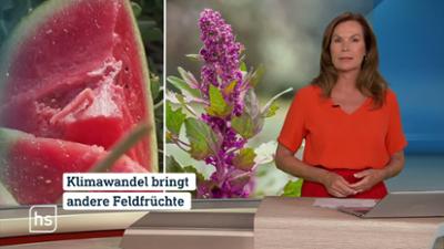 hessenschau