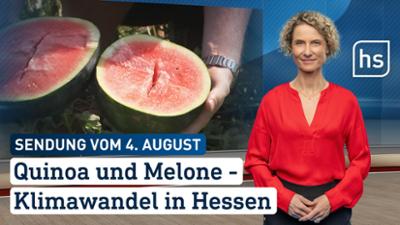 hessenschau: Quinoa und Melone — Klimawandel in Hessen hessenschau vom 04.08.2026