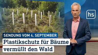 hessenschau: Plastikschutz für Bäume vermüllt den Wald hessenschau vom 04.09.2025 hessenschau: Plastikschutz für Bäume vermüllt den Wald hessenschau vom 04.09.2025