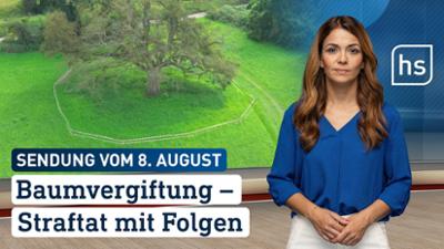 hessenschau: Baumvergiftung – Straftat mit Folgen hessenschau vom 08.08.2025