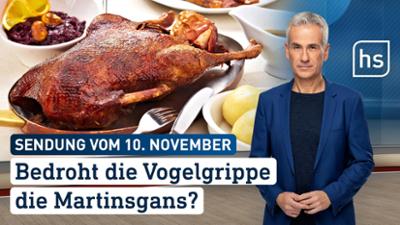 hessenschau: Bedroht die Vogelgrippe die Martinsgans?| hessenschau vom 10.11.2025