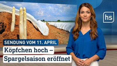 hessenschau: Köpfchen hoch — Spargelsaison eröffnet hessenschau vom 11.04.2026