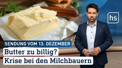 hessenschau: Butter zu billig? Krise bei den Milchbauern hessenschau vom 13.12.2025
