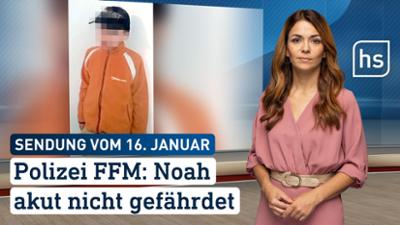 hessenschau: Noah FFm: Akut nicht gefährdet hessenschau vom 16.01.2026
