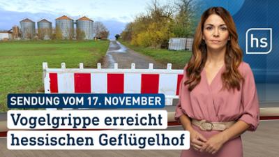hessenschau: Vogelgrippe erreicht hessischen Geflügelhof hessenschau vom 17.11.2025