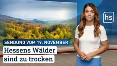 hessenschau: Hessens Wälder sind zu trocken hessenschau vom 19.11.2025