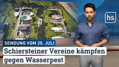 hessenschau: Schiersteiner Vereine kämpfen gegen Wasserpest hessenschau vom 20.07.2026