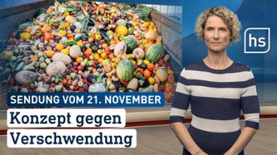 hessenschau: Konzept gegen Verschwendung hessenschau vom 21.11.2025