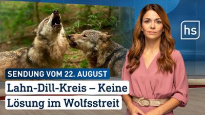 hessenschau: Lahn-Dill-Kreis — Keine Lösung im Wolfsstreit hessenschau vom 22.08.2026